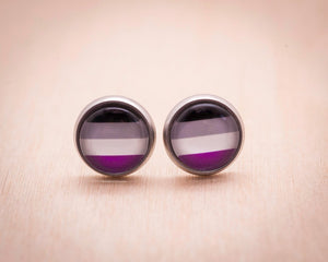 asexual pride flag stud earrings