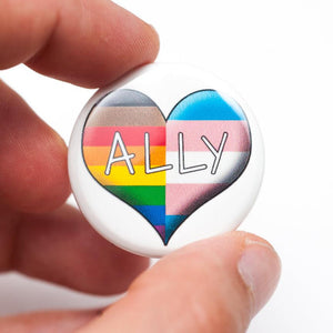 lgbtq ally pin magnet