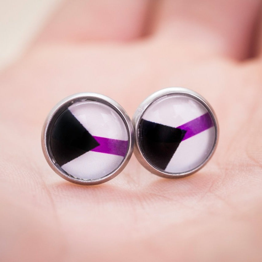 demisexual pride flag earrings