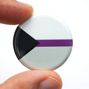 demisexual pride flag pin magnet