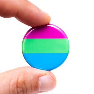 lgbtq polysexual pride flag pin magnet